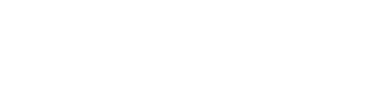 Logo BDD Fysio en manuele therapie Diap